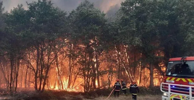 photo  des dizaines d’hectares ravagés par les flammes à téloché.  &copy;  ouest-france 