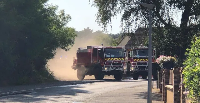 photo  à mulsanne, le 19 juillet 2022, les pompiers luttent contre un feu dans un massif de pins.  &copy;  le maine libre 