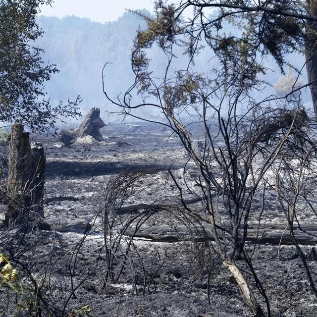 photo un aperçu des dégâts à mulsanne, où un incendie est en cours depuis lundi 18 juillet 2022. photo prise le lendemain, mardi 19 juillet.  ©  lorenzo vergari morelli/ouest-france