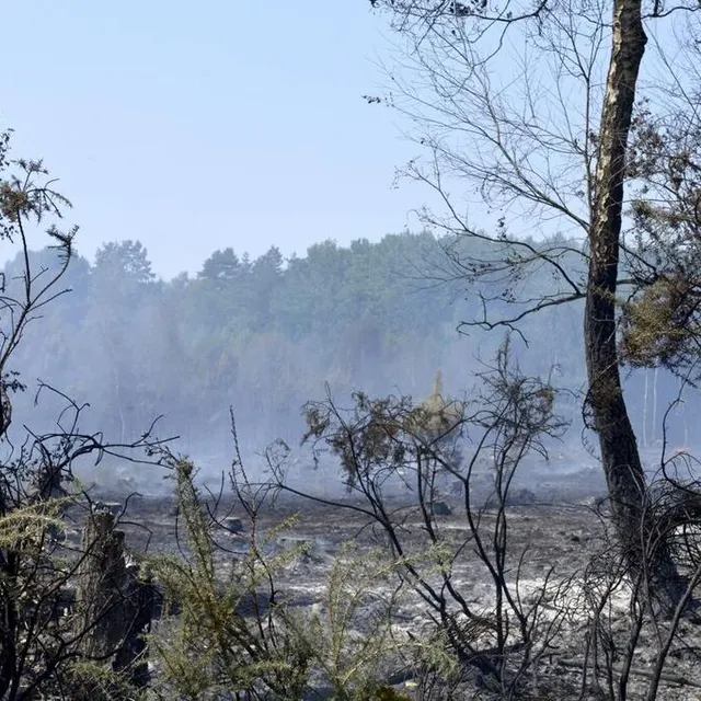 photo depuis le départ de feu principal au lieu-dit les sorinières à téloché, lundi 18 juillet 2022 à 15 h 30, l’incendie a parcouru du terrain. ici, à mulsanne, mardi 19 juillet.  ©  lorenzo vergari morelli/ouest-france