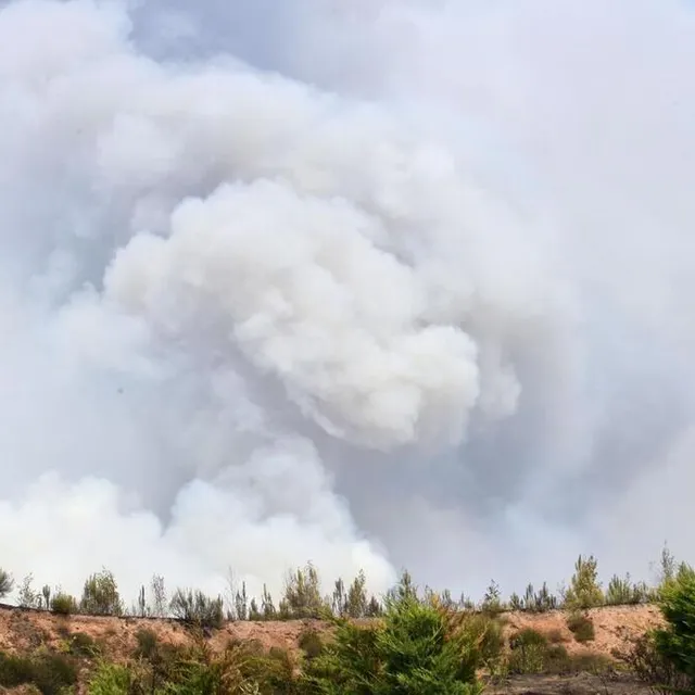 photo incendie à mulsanne (sarthe) le 19 juillet 2022  ©  lorenzo vergari morelli