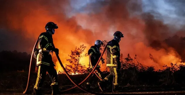 photo  des animaux du zoo du bassin d’arcachon ont été évacués en raison des incendies en gironde. une trentaine d’entre eux est arrivé à la flèche.  &copy;  afp 