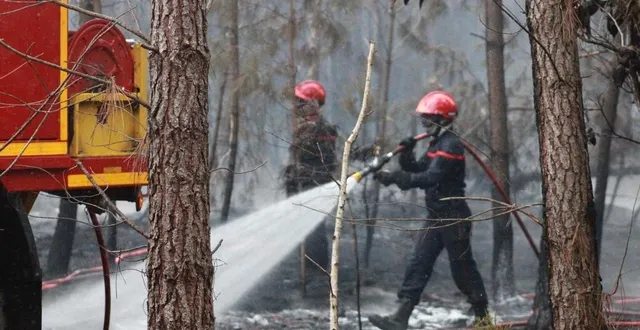 photo  ce mercredi 20 juillet 2022, les sapeurs-pompiers mobilisés sur le feu de forêt au sud du mans, ont bénéficié de la pluie.  &copy;  ouest-france 