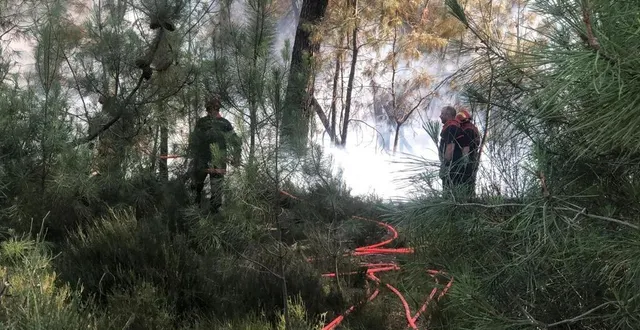 photo  l’incendie, qui a brûlé 330 hectares de forêts au sud du mans (sarthe) est toujours sous contrôle, en ce début de matinée du jeudi 21 juillet 2022.  &copy;  archives ouest-france 