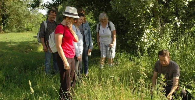 photo  le coteau des petits sablons, un espace naturel riche en biodiversité.  &copy;  archives co 