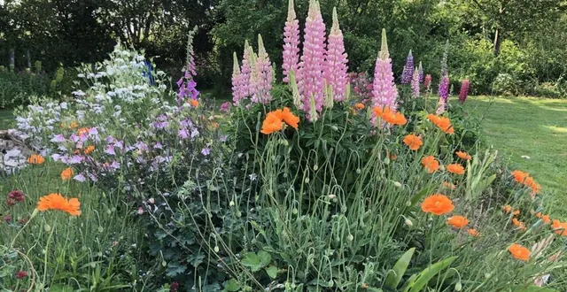 photo  dans le jardin de jane.  &copy;  le maine libre 