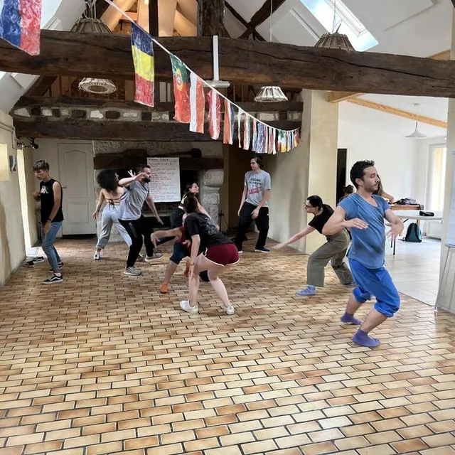 photo les jeunes en service volontaire européen à l’association d’écouves vertes participeront aux chorégraphies des lèche-vitrines.  ©  ouest-france