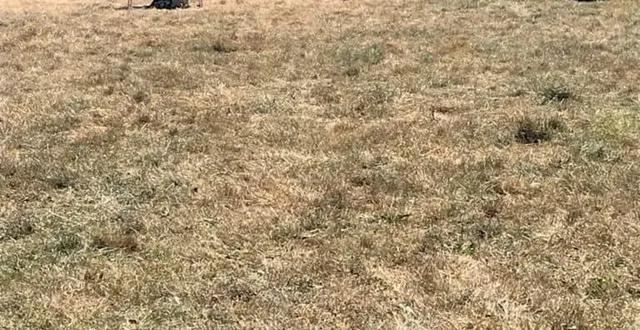 photo  près de deux cents personnes ont participé à la rave party organisée dans l’orne ce week-end.  &copy;  gendarmerie nationale 