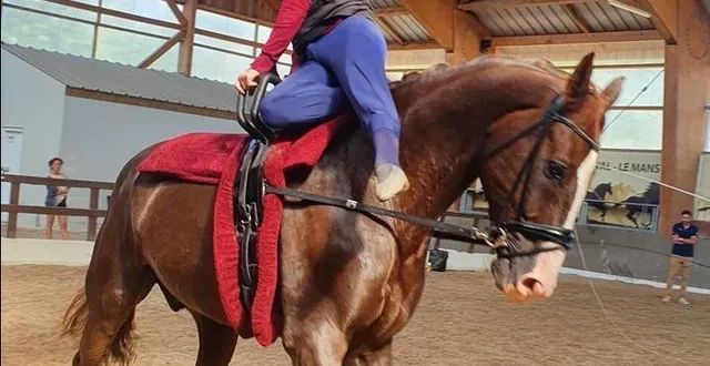 photo  au danemark, quentin jabet briguera une médaille en individuel et par équipe avec la france.  &copy;  ouest-france 
