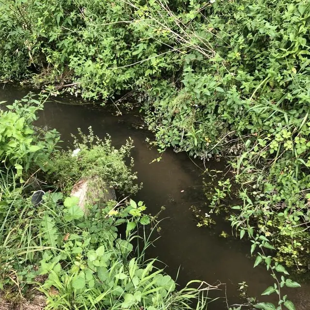 photo face à l’état d’alerte sécheresse, un coude a été installé pour empêcher l’alimentation du cours d’eau.  ©  ouest-france