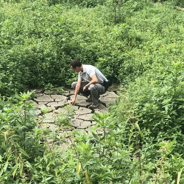 photo conséquence de l’installation du coude : le plan d’eau a été asséché.  ©  ouest-france