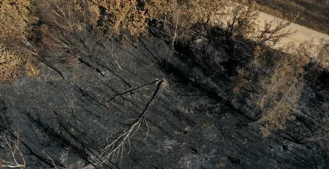 photo  suites des incendies qui ont ravagé plus de 300 hectares de forêts, le lundi 18 juillet 2022 (et les jours suivant) à mulsanne, teloché et ruaudin. lieu-dit, la butte au renard à teloché.  &copy;  thomas brégardis / ouest-france 