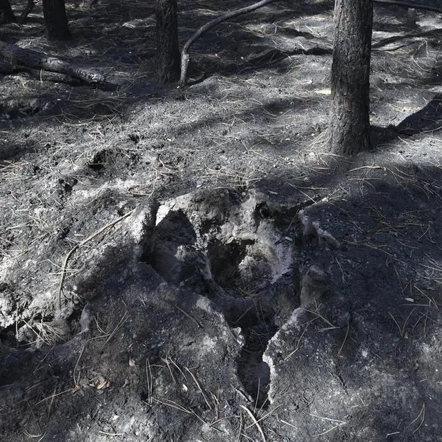photo suites des incendies qui ont ravagé plus de 300 hectares de forêts, le lundi 18 juillet 2022 (et les jours suivant) à mulsanne, téloché et ruaudin. dans la forêt, le long de la route de brette-les-pins dans la commune de ruaudin, l’emplacement d’un arbre et de sa souche complètement consumés.  ©  thomas brégardis / ouest-france