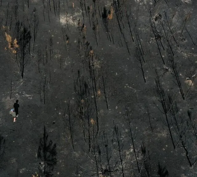 photo suites des incendies qui ont ravagé plus de 300 hectares de forêts, le lundi 18 juillet 2022 (et les jours suivant) à mulsanne, teloché et ruaudin.
lieu dit, la butte au renard à teloché.  ©  thomas brégardis / ouest-france