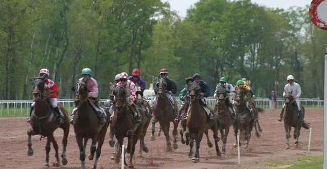 photo  la première édition de l’opération a eu lieu en 2019.  &copy;  archives ouest-france 
