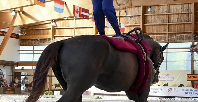 photo  quentin a découvert la voltige équestre à 13 ans.  &copy;  le maine libre -  yvon loué 