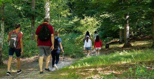 photo  le gr de pays vallée du loir offre une multitude de paysages.  &copy;  office de tourisme de la vallée du loir 