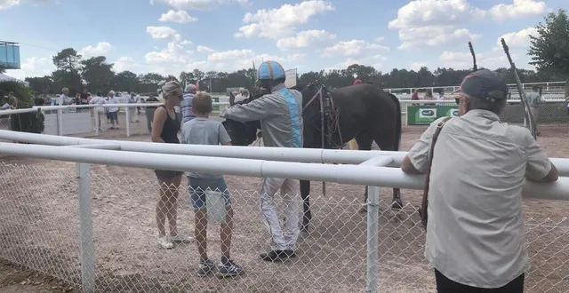 photo  journée découverte des courses hippiques pour plus de 150 élus à l’hippodrome du mans (sarthe), ce samedi 30 juillet 2022.  &copy;  ouest-france 