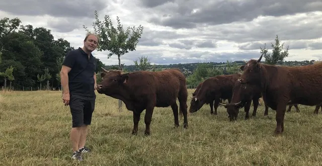 photo  jean-françois guillouet-huard entouré de ses salers, à montilly-sur-noireau, dans l’orne.  &copy;  ouest-france 