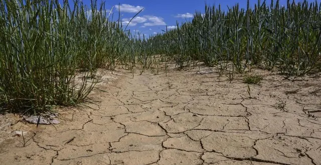 photo  huit bassins-versants sarthois sont toujours en crise pour la sécheresse  &copy;  photo archives le maine libre denis lambert 
