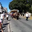 photo  dès 11 h le 24 juillet, le défilé de chevaux de trait breton et de la carriole transportant des personnes en situation de handicap, a drainé le public vers le champ de courses 