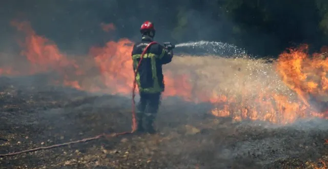 photo  plusieurs feux de broussailles ont nécessité l’intervention des pompiers jeudi 4 août.  &copy;  archives po 