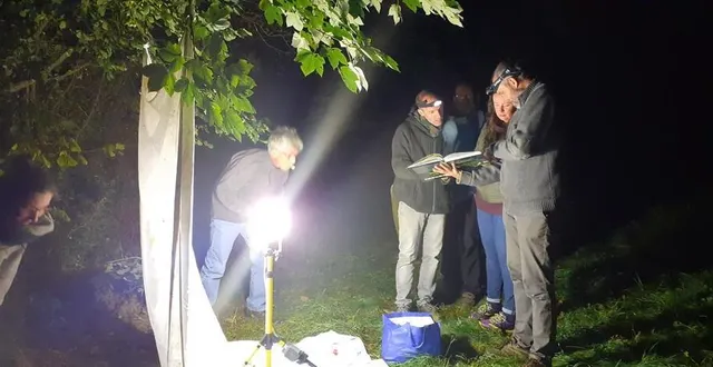 photo  observation nocturne.  &copy;  ouest-france 