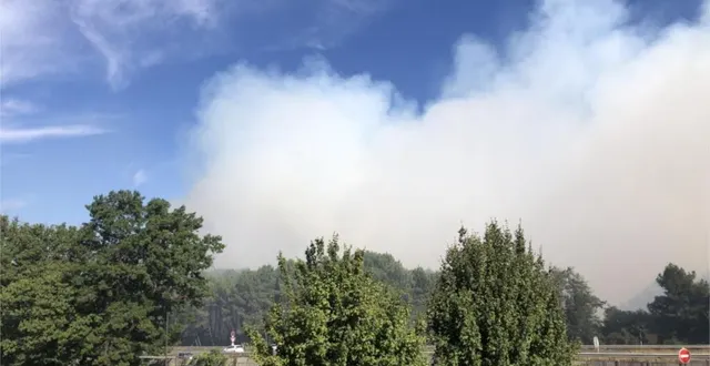 photo  l’incendie se situe au long du chemin aux bœufs, au sud du mans.  &copy;  le maine libre 