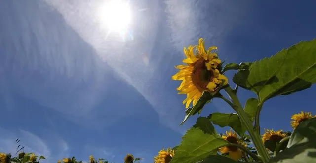 photo  sans aucune précipitation, la sécheresse s’étend dans le département de la sarthe comme ailleurs  &copy;  archives co 