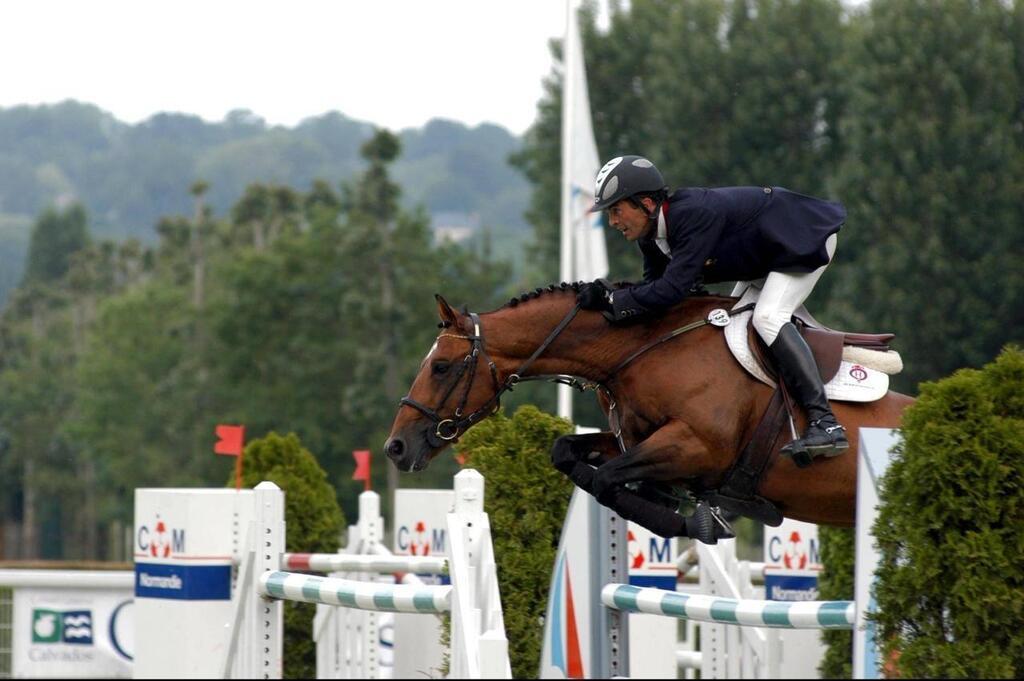 Place au Jumping au P le international du cheval de Deauville du