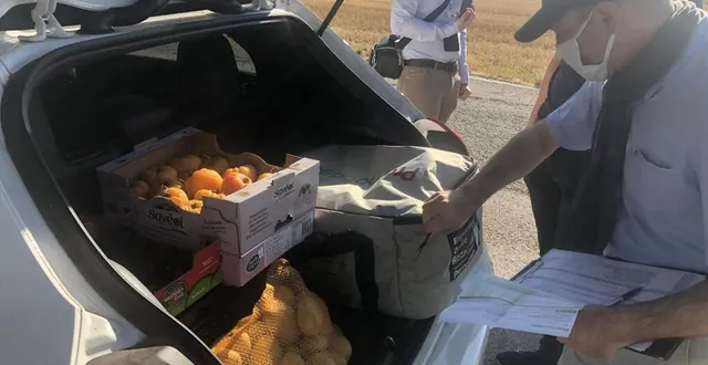 photo  les inspecteurs ont fait ouvrir les coffres des véhicules pour voir si la chaîne du froid était bien respectée par les professionnels de la restauration.  &copy;  ouest-france 