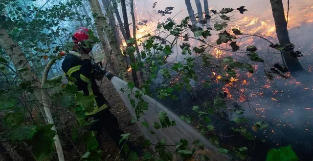 photo  l’incendie ravage la forêt de pugle à clefs, commune déléguée de baugé-en-anjou (maine-et-loire), depuis lundi 8 août.  &copy;  mathieu pattier / ouest france 
