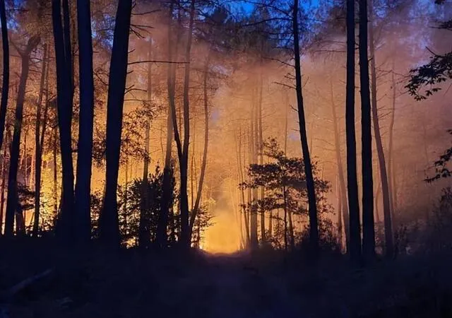 photo l’incendie du baugeois a détruit 1240 hectares de forêt, selon le sdis 49.  ©  sdis 49