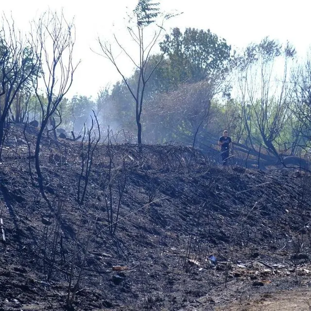 photo les pompiers sont encore présents sur le site pour veiller et éviter toute reprise.  ©  ouest-france