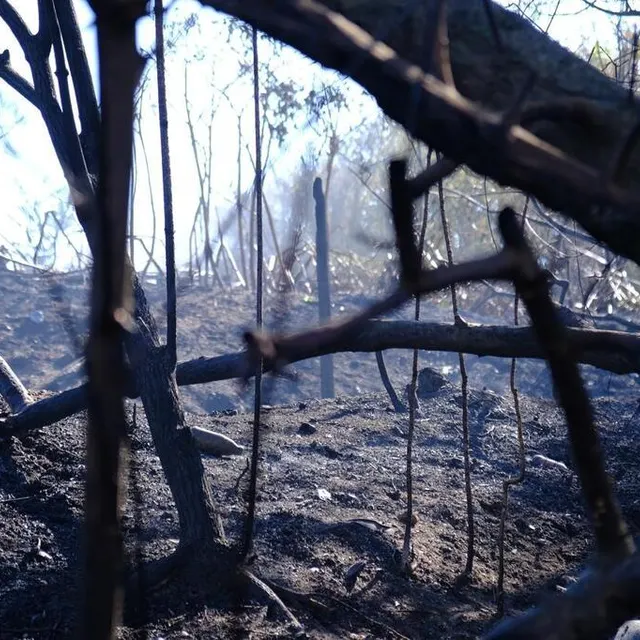 photo 10 hectares de la prairie de mauves ont brûlé.  ©  ouest-france