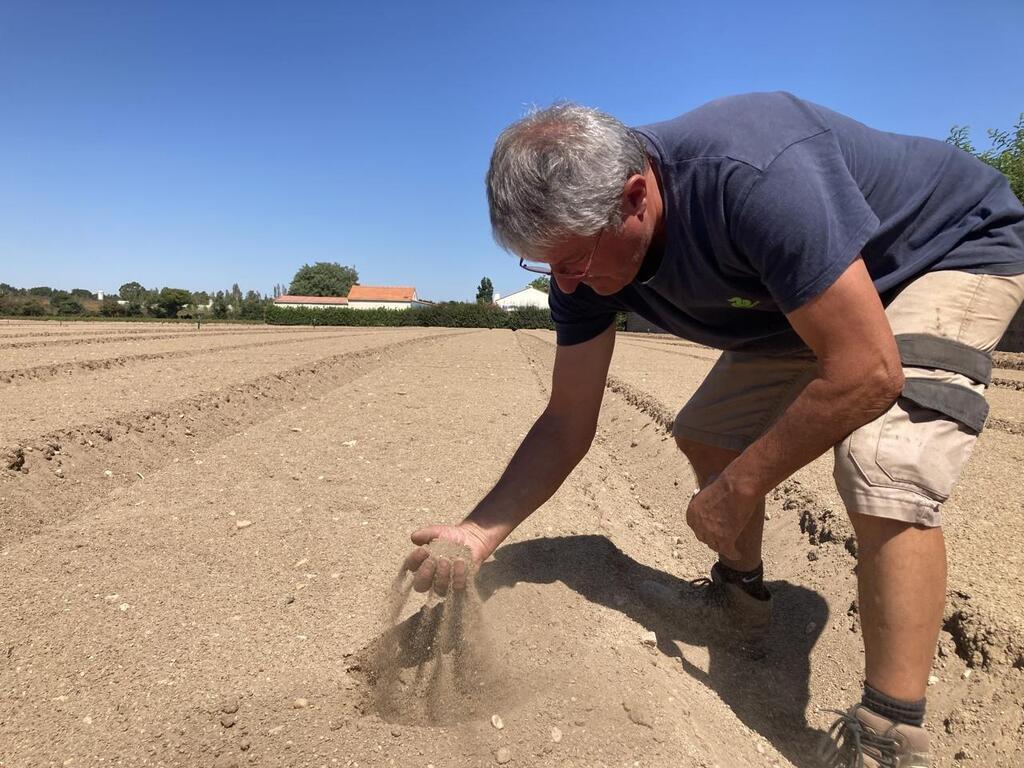 Face à La Sécheresse Les Maraîchers Nantais En Péril 8410