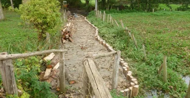 photo  un des chemins qui ont été mis en valeur par les bénévoles.  &copy;  le maine libre 