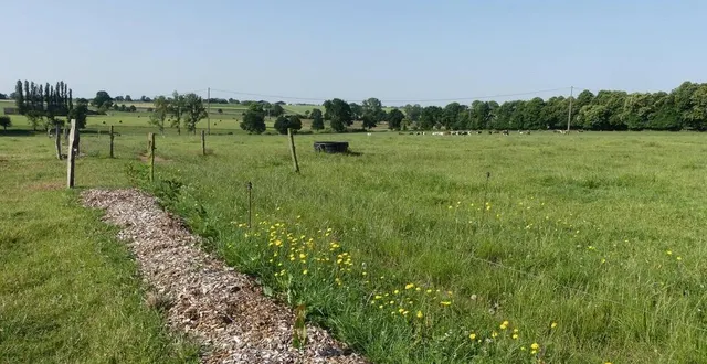 photo  le parc naturel régional normandie-maine a retenu 36 dossiers dans le cadre de son appel à candidatures : 18,5 km de haies seront donc plantés cette année pour reconstituer le bocage.  &copy;  parc naturel régional normandie-maine 