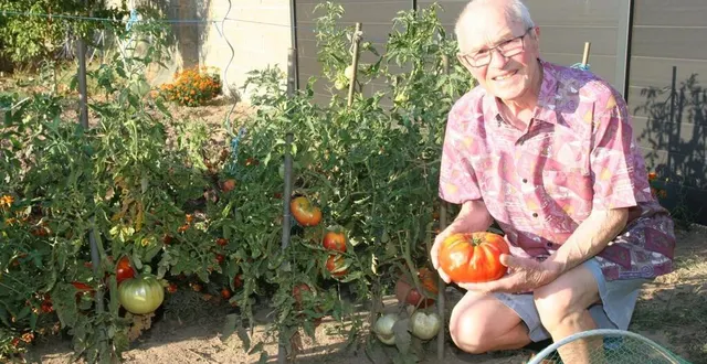 photo  marcel (86 ans le 11 novembre prochain) est fier de sa récolte.  &copy;  le maine libre 