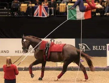 photo  quentin a réalisé une sortie en salto arrière d’une hauteur impressionnante qui lui a valu une médaille d’argent.  &copy;  collection particulière 