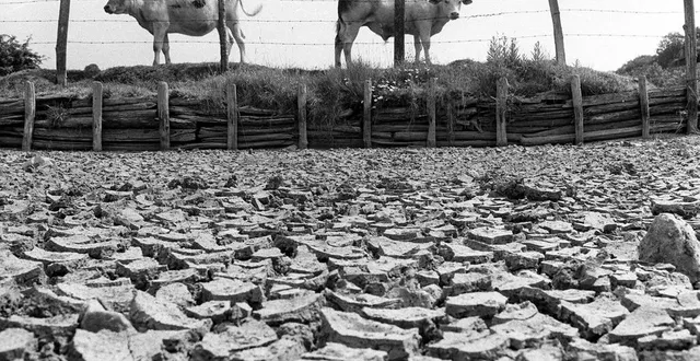 photo  semur-en-vallon (sarthe), le 14 juin 1976. des sols craquelés et des mares asséchées, résultats d’une sécheresse intense et de fortes chaleurs. l’année 1976 reste dans les mémoires de tous ceux qui l’ont vécue.  &copy;  archives afp 