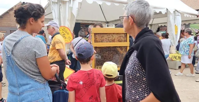 photo  un des apiculteurs présents avait même amené des abeilles, occupées toute l’année à faire du miel.  &copy;  le maine libre 