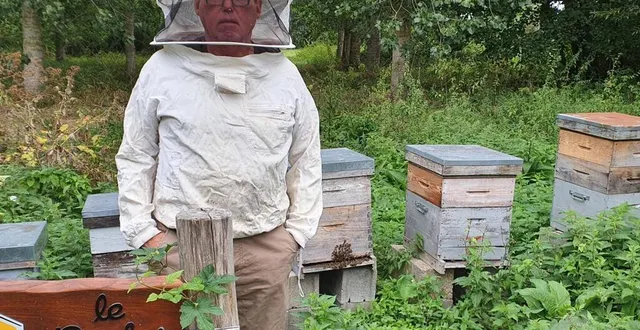 photo  samedi, grain de pollen organise deux séances  pour découvrir le monde de l’apiculture.  &copy;  ouest-france 