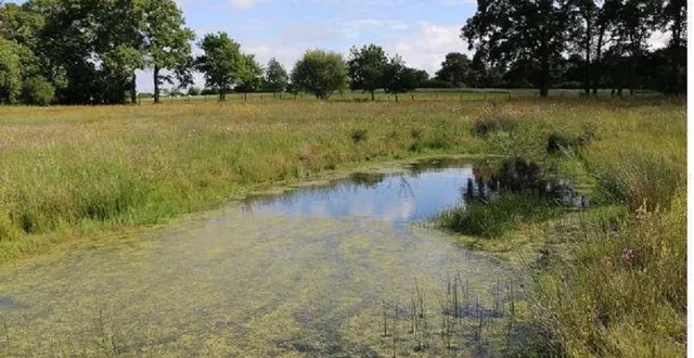 photo  les mares au centre d’une visite aux chateliers.  &copy;  archives le maine libre 