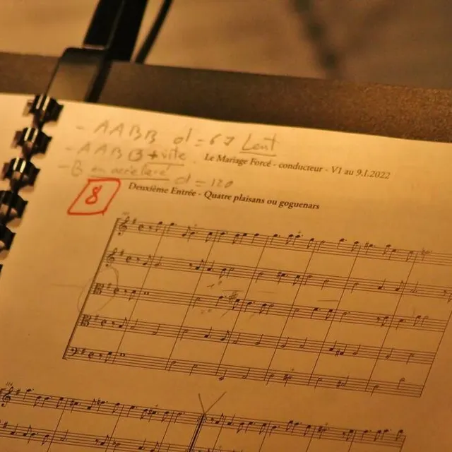 photo la partition d'une joueuse d'alto.  ©  ouest-france