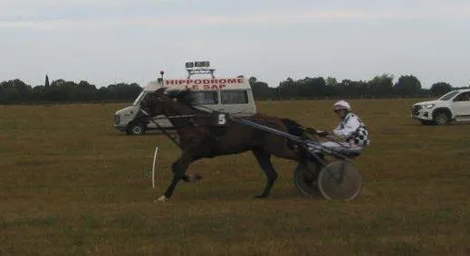 photo  deuxième réunion des courses hippiques le dimanche.  &copy;  ouest-france 