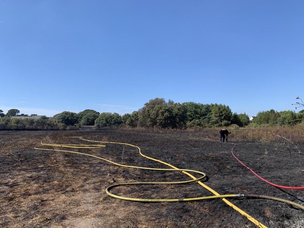 Incendie Au Pouliguen Dix Hectares De Végétation Partis En Fumée