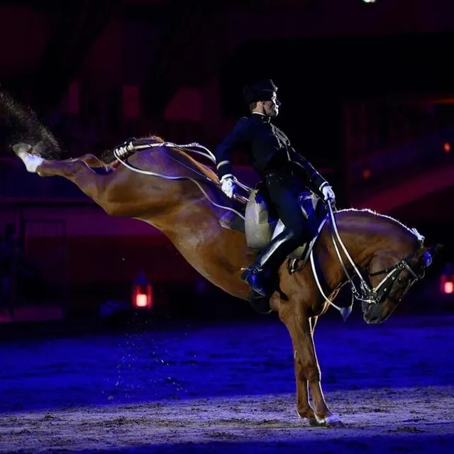 De grands galas équestres sont proposés au public en mai et en septembre. Benoit Lemaire – Cadre noir photo de grands galas équestres sont proposés au public en mai et en septembre. © benoit lemaire – cadre noir