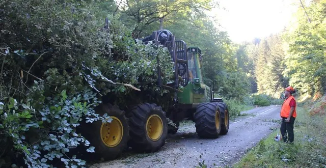 photo  sur la d 234, damien loukine, technicien forestier territorial, à droite, procède à la sécurisation du chantier.  &copy;  le maine libre 