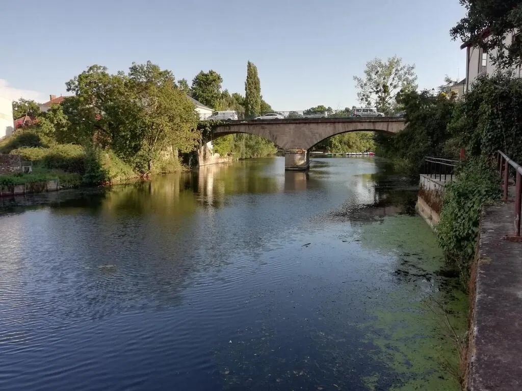 MareuilsurLayDissais. Le Lay, un long fleuve tranquille ? La Roche